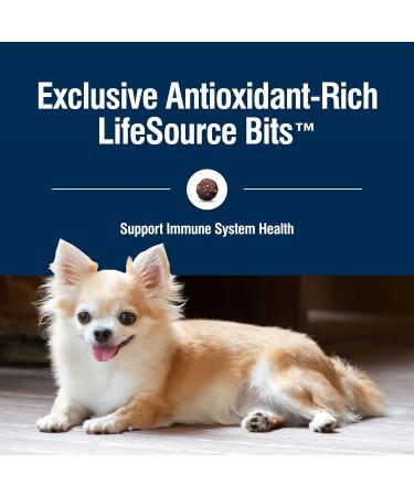 Blue Buffalo True Solutions Small Breed Adult Dry Dog Food - 4 lb | High Energy | Natural Chicken | Small & Mighty - Buy Online on GoSupps.com