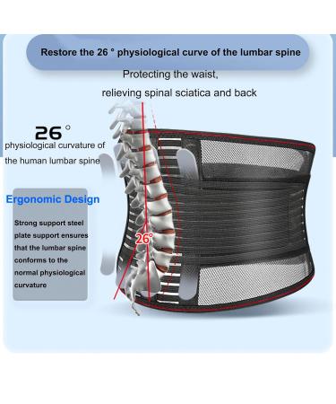 Back Braces for Lower Back Pain Relief Breathable & Adjustable Support Belt with Support Pillar Lumbar Support Belt for Work Treat of Sciatica Intervertebral Disc Herniation(Unisex) - Buy Online on GoSupps.com