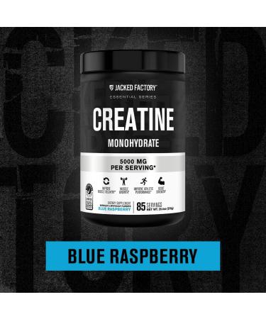 Jacked Factory Creatine Monohydrate Powder 425g (Unflavored 85 Servings) Flavored Creatine Monohydrate Powder 578g (Blue Raspberry 85 Servings) - Buy Online on GoSupps.com