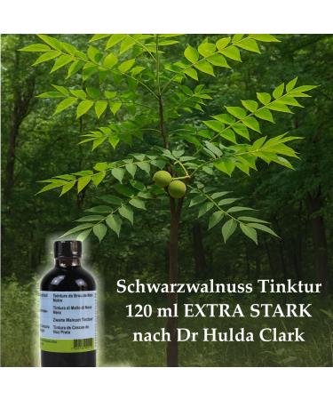  Superkost Black walnut tincture 120 ml extra strong according to Dr. Hulda Clark - Buy Online on GoSupps.com