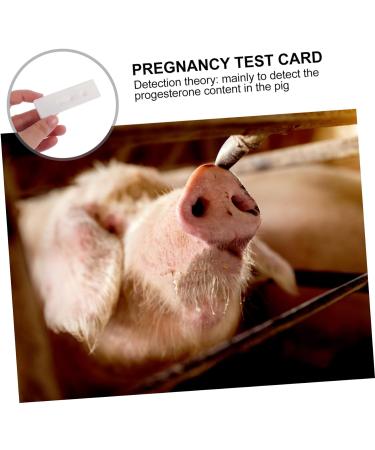 minkissy 6 pcs Early Pregnancy Cow Pregnancy Test Paper Plastic Bands Livestock Pregnancy Diagnosis Tester Pregnancy Test Strip for Pig Pregnancy Test Paper Tool The Cow Whitex3pcs 1 count (Pack of 1) - Buy Online on GoSupps.com
