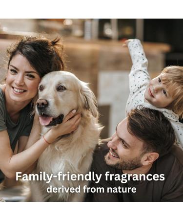 Lavender Essential Oils for Diffusers for Home Nature-derived Lavender Essential Oil Long-Lasting & Family-Friendly Diffuser Oils Scents IFRA Certified Cold Air & Ultrasonic - 4 oz Lavender 4 Fl Oz (Pack of 1) - Buy Online on GoSupps.com