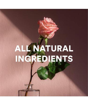 Camille Beckman Perfumed Body Powder 3 oz - Luxurious Scented Powder - Buy Online on GoSupps.com