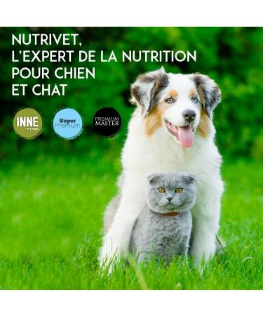 NUTRIVET - Super Premium - Junior Mini - Wheat-free kibble - Puppy - Rich in Animal Protein - 5 kg - Buy Online on GoSupps.com