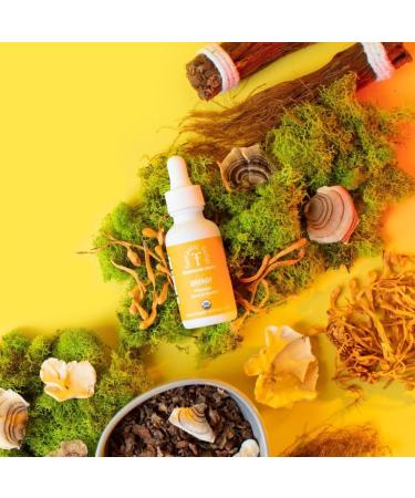 Fungi Energy Mushroom Drops - Organic Cordyceps & Turkey Tail for Verve & Vitality - Buy Online on GoSupps.com
