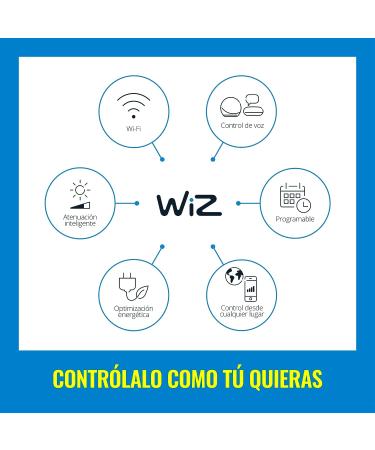 WiZ Connected Color 60W A19 Smart WiFi Light Bulb - 16 Million Colors - Alexa & Google Home Compatible - No Hub Needed - 1 Pack - Buy Online on GoSupps.com