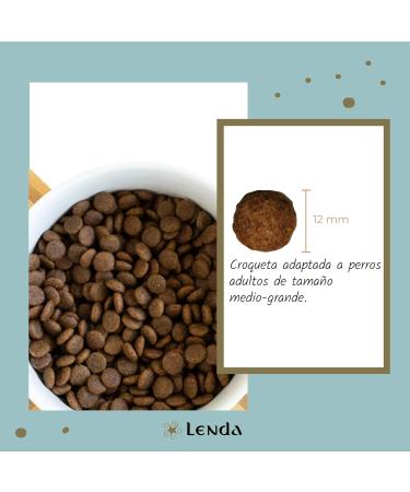 Lenda Senior Mobility Dog Food for Senior or Adult Dogs with Joint Pain | Hypoallergenic Food Rich in Turkey | Natural and Low in Fat Senior Dog Food - Buy Online on GoSupps.com