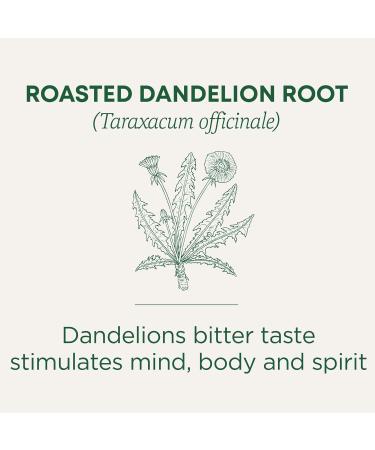 Traditional Medicinals Organic Roasted Dandelion Root Herbal Tea 16 Bags (Pack of 1) Tea Roasted Dandelion Root 16 Count (Pack of 1) - Buy Online on GoSupps.com