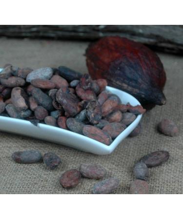 cocoa beans Ecuador untreated 250g