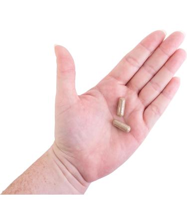 Kroeger Herb Candida Formula #1 Cleanse - Yeast Support Supplement for Women & Men | 100 Capsules Intestinal Health - Buy Online on GoSupps.com