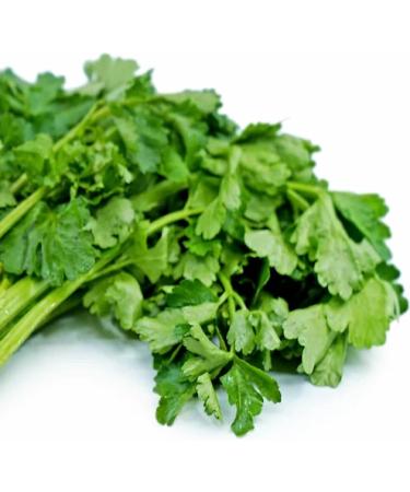 Chinese Celery 800+ Seeds - Dark Green Leaf Nan Ling Celery Apium graveolens - Non GMO - Buy Online on GoSupps.com