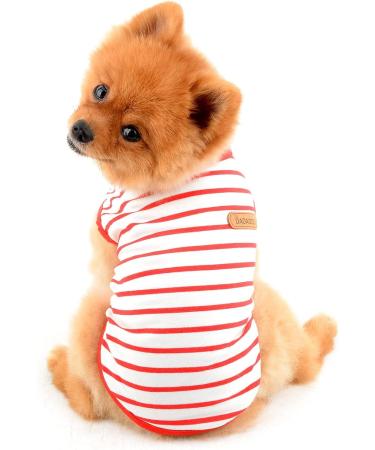 Buy Paidful British Little Dog Shirt - Soft Cotton Striped T-Shirt for Puppies & Small Dogs | Breathable Summer Vest for Chihuahua & Yorkie - Sizes S - Buy Online on GoSupps.com