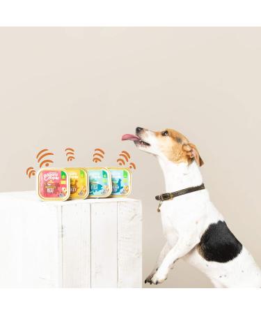 Buy Edgard & Cooper Organic Wet Dog Food - 100g x 17 Packs | Cereal-Free High-Quality Turkey Protein Balanced Diet for Adult Dogs - Buy Online on GoSupps.com