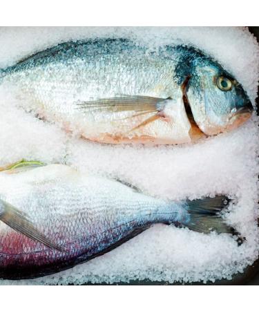 Primoli Cold-Pressed Olive Oil D.O.P. Riviera Ligure | Slightly Fruity | Perfect for Fish & Seafood | 6x500ml Pack - Buy Online on GoSupps.com