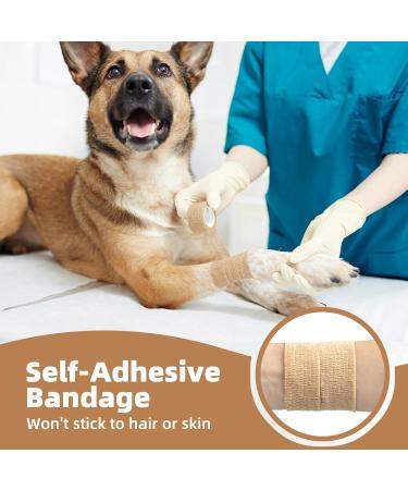 Anjocare Self-Adhesive Bandage Wrap (8 Pack) - Breathable Cohesive Bandage for First Aid Sports Injuries and Pet Care (2.5cm x 4.5m) - Beige & Blue - Buy Online on GoSupps.com