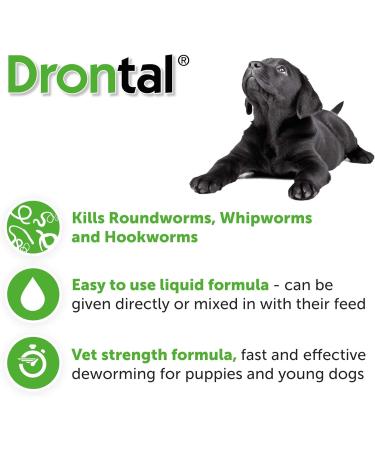 Drontal Puppy Suspension 100ml - Buy Online on GoSupps.com