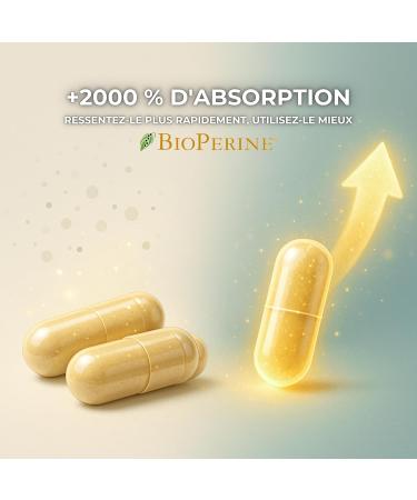 Lions Mane Bio G lules Criniere de Lion Haute Puissance 16 000mg Extrait 25:1 Ultra-Concentr avec BioPerine Riche en Polysaccharides & B ta-Glucanes 6 Mois Naturel M moire & Immunit  - Buy Online on GoSupps.com