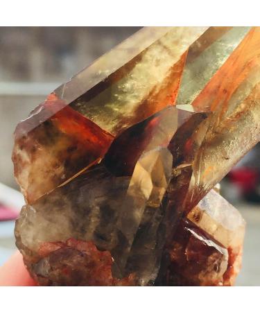 65g Natural Black Smoked Citrine Quartz Crystal Cluster Rough Specimen Suitable for Home ERTEYIN - Buy Online on GoSupps.com