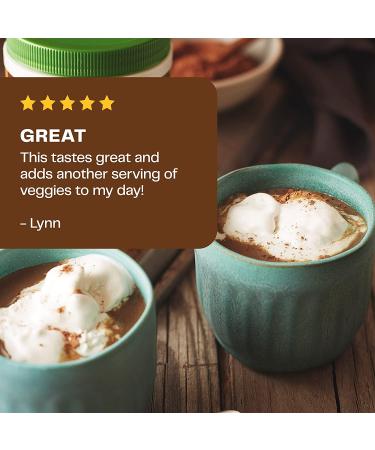 Buy Amazing Grass Green Superfood Chocolate 17 oz - Nutrient-Packed Superfood Supplement - Buy Online on GoSupps.com