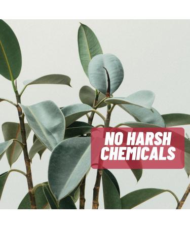 Blemless 120ct Tablets- Designed as Clear Skin Supplement Pills for Oily Skin & Blemishes for Women Men and Adults - Buy Online on GoSupps.com