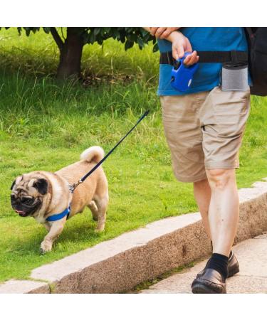 YOOSSO Multifunctional Dog Training Feed Bag with Snack Pouch & Faecal Bag Dispenser - Gray | Ideal for Treats & Training - Buy Online on GoSupps.com