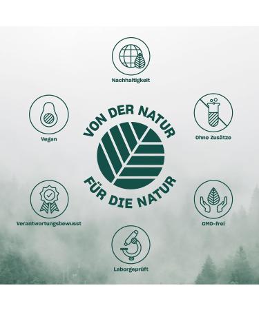 Natural Ginkgo Biloba 180 Capsules - 115mg Ginkgo & 40mg Ginseng | Vegan Certified & Sustainable Supplements - Buy Online on GoSupps.com