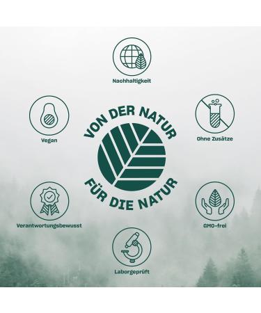 Organic Ginger Extract Capsules - High Dose 600mg 180 Vegan Ayurvedic Capsules Certified Sustainable Pure Herbal Supplement - Buy Online on GoSupps.com