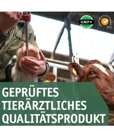 Vetmarkt24 Bolus Magnesium - Value Pack of 8 for Dairy Cows | Supports Magnesium Balance | International Shipping - Buy Online on GoSupps.com