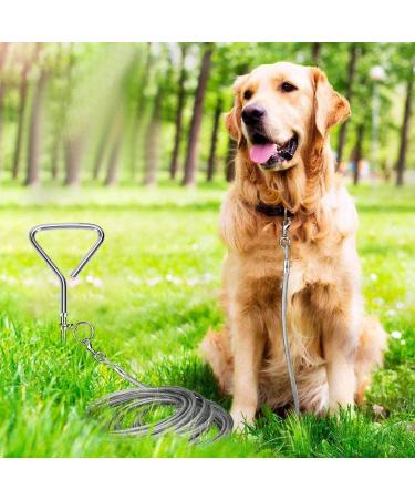 1Above_20ft(6m) heavy duty Dog stake and tie out cable with 16 Inch spiral ground stake Puppy pet Outdoor Tie Out Lead Leas - Buy Online on GoSupps.com