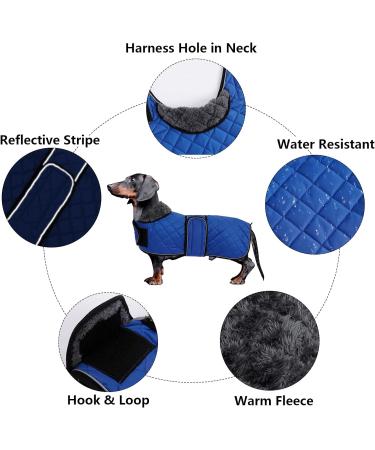 Minezi Waterproof Dachshund Winter Jacket - Wool Lined Adjustable Navy XL (55-58cm) - Ideal Dog Clothing for Cold Weather - Buy Online on GoSupps.com