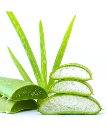 Mr. Wax After Wax Oil with Aloe Vera - 500ml | Ultimate Aftercare & Residue Removal for Waxing - Buy Online on GoSupps.com