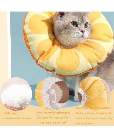 Soft Cat Recovery Collar Comfy Head Wound Healing Protective Collar for Cat Recovery After Surgery Adjustable Cute Neck Cone for Cats Kitten and Puppies (Orange M) - Buy Online on GoSupps.com