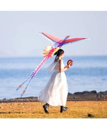 Shop Mints Colorful Life Rainbow Phoenix Kite - Easy to Fly Large Beach Kites for Kids & Adults | International Shipping Available - Buy Online on GoSupps.com