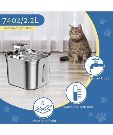 MISFANS Stainless Steel Cat Water Fountain | 74oz/2.2L Automatic Pet Water Dispenser with Filter Kit and Silicone Mat | Ideal for Cats and Dogs - Buy Online on GoSupps.com