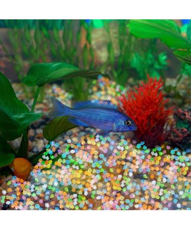 300 Colorful Fluorescent Stones - Bright Pebbles for Garden Decor Sidewalks & Grass Court - Buy Online on GoSupps.com