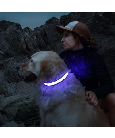 Luminous USB-C LED Dog Collar | Waterproof Light-Up Collar for Small & Medium Dogs | 7 Color Flashing Adjustable Size (28-40cm) - Buy Online on GoSupps.com
