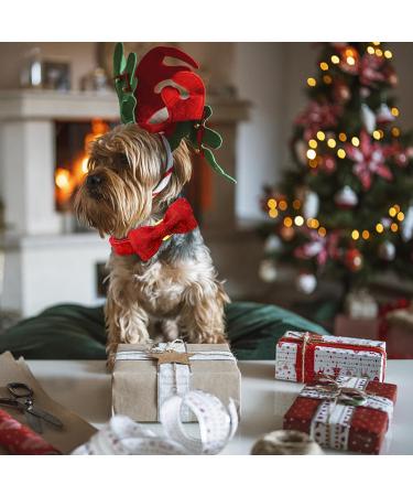 Shop Lionheart Glory Christmas Dog Collar - Adjustable Soft Red Loop Collar for Medium Dogs | Perfect Holiday Accessory (1 Pack) - Buy Online on GoSupps.com