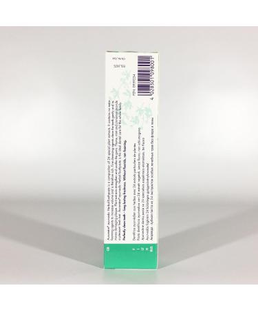 APEIRON Auromere Organic Herbal Toothpaste - Minted Taste Fluoride-Free Vegan 75ml - Buy Online on GoSupps.com