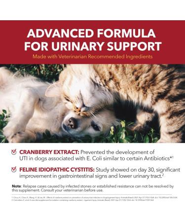 Urinary Care Cranberry Supplement for Dogs & Cats by PETPAL | Super Concentrated Powder | Urinary Tract Health Bladder Care UTI Stones Incontinence Support | Result in 30 Days | 2 oz / 60g - Buy Online on GoSupps.com