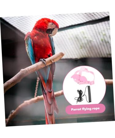Angoily 4 Sets Bird Leash Suspend Trains Parrot Adjustable Harness Chicken Harness Car Supplies Clothing 12X6X1.3CMx4pcs Pinkx4pcs - Buy Online on GoSupps.com