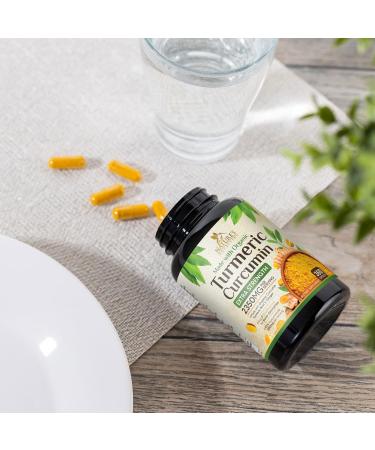 Turmeric Curcumin Supplement 2350mg - 95% Curcuminoids with Organic Turmeric & Ginger BioPerine Black Pepper for Best Absorption Nature's Vegan Joint Support Non-GMO Bottled in USA - 360 Capsules 360 Count (Pack of 1) - Buy Online on GoSupps.com