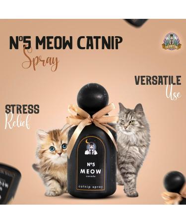 The Knittens Meow No5 Catnip Spray for Indoor Cats - Liquid Catnip Spray Bottle for Feline Fun & Comfort - Essential Oil Catnip Better for Sensory Stimulation & Environment - Black Bottle - 350g - Buy Online on GoSupps.com