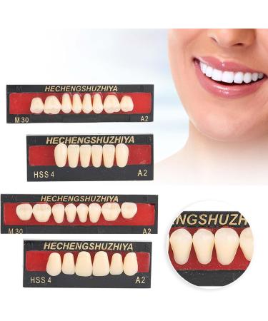 Proth ses dentaires fausses dents artificielles mat riau dentaire en r sine synth tique remplissage de la proth se - Buy Online on GoSupps.com