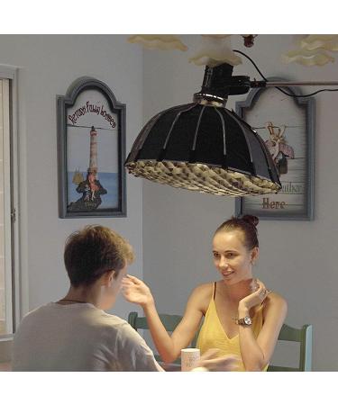 Aputure Light Dome mini II - Professional Studio Lighting Modifier - Buy Online on GoSupps.com