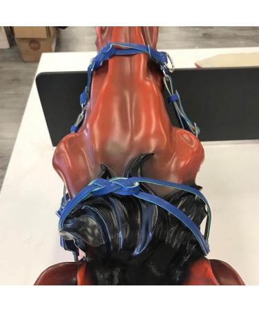 Halter for Horse | Safety Halter Chin & Throat Snap Heavy Duty Tied Halter Colorful Padded Nylon Size Horse Care for Horse Grooming Training Pochy Blue - Buy Online on GoSupps.com