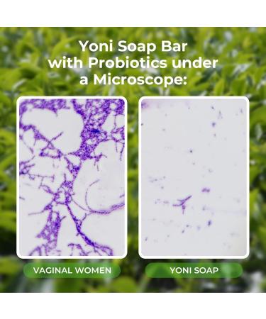 Tea Tree Feminine Wash & Yoni Oil Set - pH Balance Odor Removal & Moisturizing | 1 Fl.Oz Oil 5.07 Fl.Oz Wash & 3.53 Oz Soap for Women - Buy Online on GoSupps.com