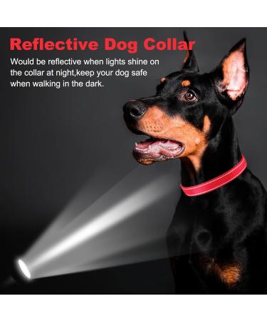 PCOTLLAR Adjustable Padded Reflective Dog Collar for Small & Large Dogs - Soft Neoprene Red (30-40cm) - Buy Online on GoSupps.com