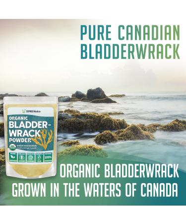 XPRS Nutra Organic Bladderwrack Powder - Premium 4 Ounce Iodine Supplement for Glowing Skin - Vegan Friendly Herb - Buy Online on GoSupps.com