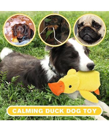 Noovelo Calming Duck Toy 2024 New Calming Duck Dog Toy Calming Duck for Dogs Dogs Emotional Support Duck Cute Quacking Stuffed Duck Dog Toy. (L-Green) - Buy Online on GoSupps.com