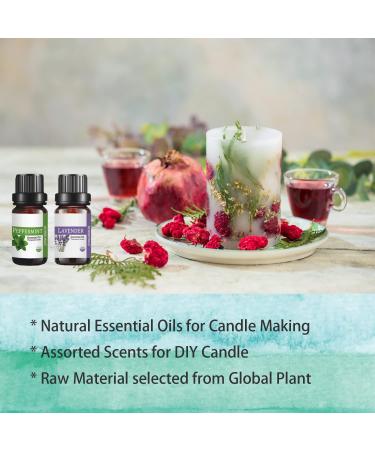 HERBROMAS Essential Oil Set - Top 16 Aromatherapy Oils for Candle & Soap Making, Diffusers, Humidifiers - Buy Online on GoSupps.com